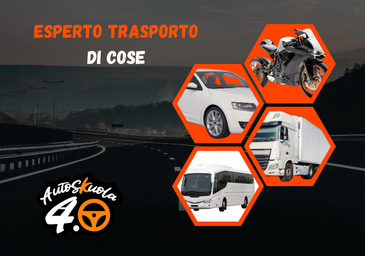 Esperto Trasporto di Cose